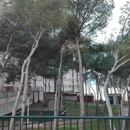 Insignia Apartment
