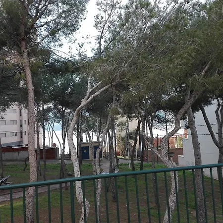 Apartament Insignia *
